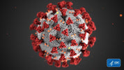Going viral: How germs spread