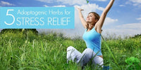 Stressed? These 5 Adaptogenic Herbs Can Ease Stress