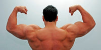 The Gluten Free Athlete: Meals to Gain Muscle
