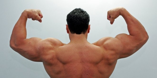 The Gluten Free Athlete: Meals to Gain Muscle