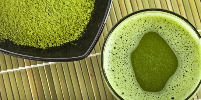 Hemp Protein