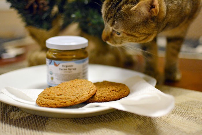 Holiday Ginger Cookies With Yacon Syrup and Grapeseed Oil