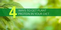 4 Ways to Get More Plant Protein in Your Diet