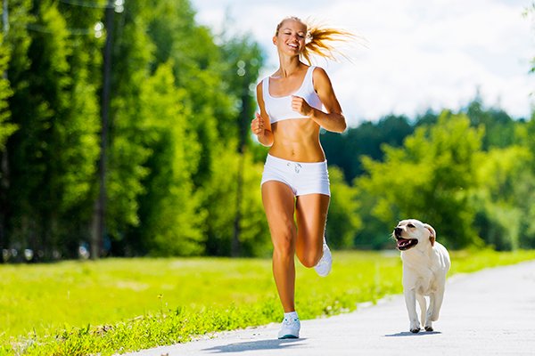 Top Ways Dogs Improve Your Health