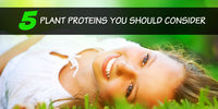 5 Plant Based Proteins You Should Consider