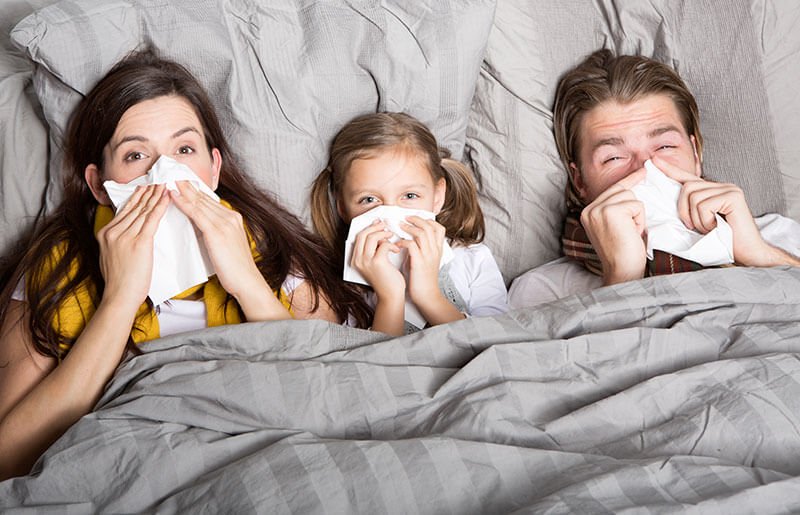 Ways To Boost Your Immune System During Allergy Season