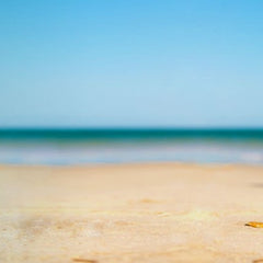 Herbs for Blood Sugar Support