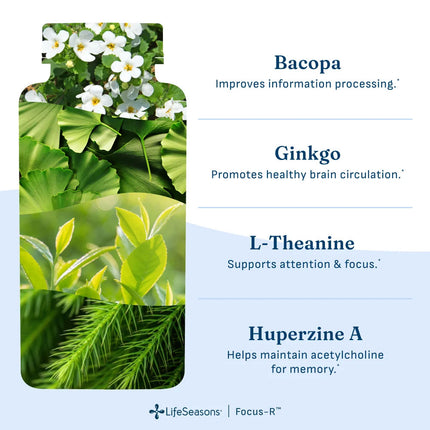 LifeSeasons Focus-R (60 capsules)